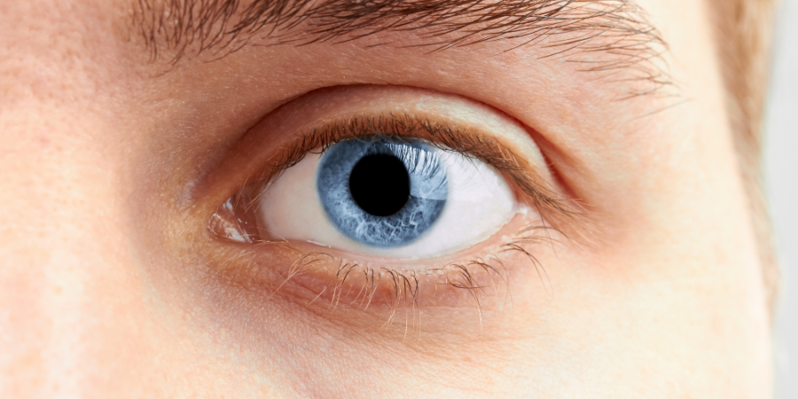 the-eyes-have-it:-why-his-eyes-dilate-when-he-looks-at-you the-eyes-have-it:-why-his-eyes-dilate-when-he-looks-at-you