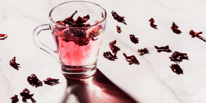 sip-this-tea-daily-to-stop-cellular-damage-in-its-tracks sip-this-tea-daily-to-stop-cellular-damage-in-its-tracks