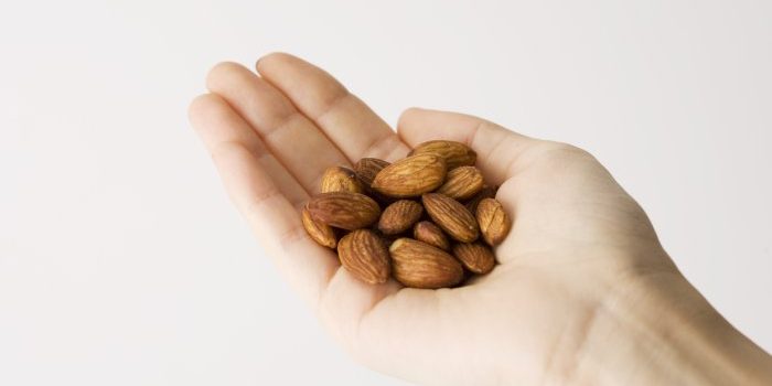 eat-a-handful-of-this-nut-daily-for-weight-loss,-gut-health-&-more eat-a-handful-of-this-nut-daily-for-weight-loss,-gut-health-&-more