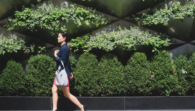 if-you-love-matcha,-you-have-to-try-this-mood-lifting-focus-supplement*
