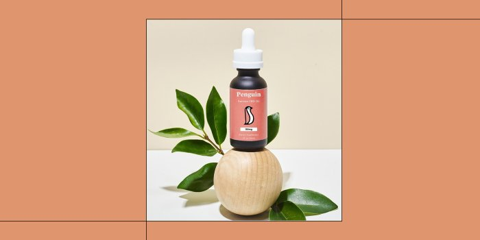 best-cbd-oil-for-cats best-cbd-oil-for-cats