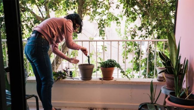 10-healthy-home-design-tips-from-the-world’s-longest-lived-people 10-healthy-home-design-tips-from-the-world’s-longest-lived-people