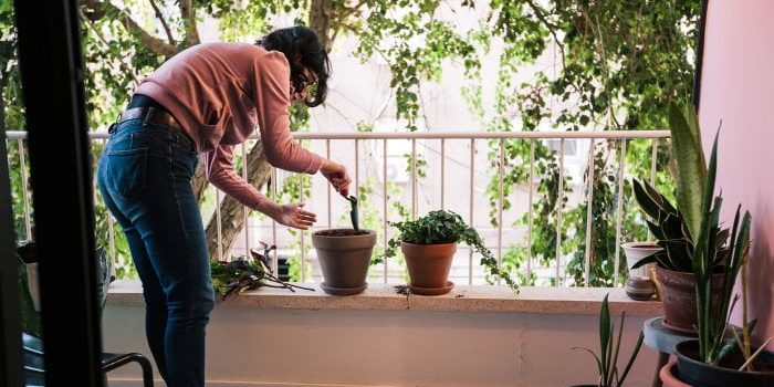 10-healthy-home-design-tips-from-the-world’s-longest-lived-people 10-healthy-home-design-tips-from-the-world’s-longest-lived-people