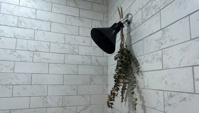 i-tried-this-shower-filter-for-2-months-&-my-hair-has-never-felt-healthier