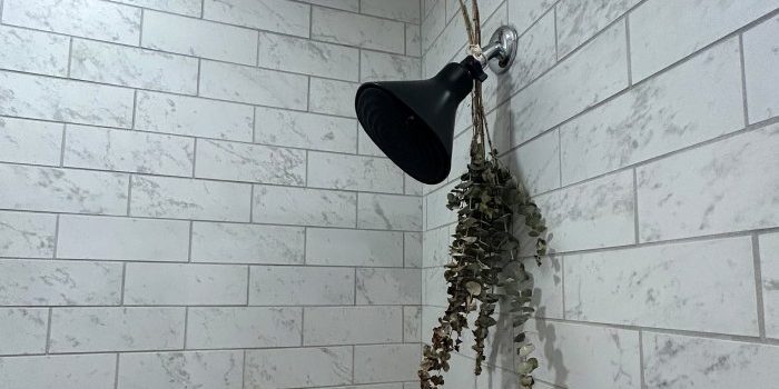 i-tried-this-shower-filter-for-2-months-&-my-hair-has-never-felt-healthier