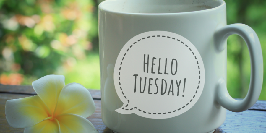 discover-125-tuesday-blessings-to-banish-the-monday-blues discover-125-tuesday-blessings-to-banish-the-monday-blues